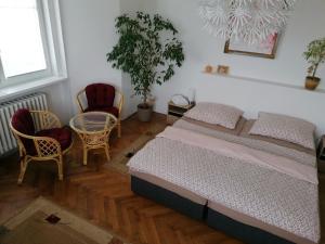 Postel nebo postele na pokoji v ubytování Penzion Flóra