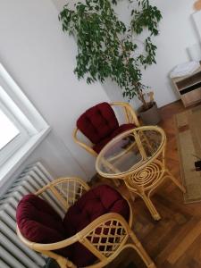 un grupo de sillas, una mesa y una planta en Penzion Flóra, en Žatec