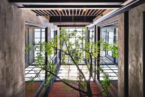 台南的住宿－蓋茨比公寓，建筑中间一条种植植物的走廊