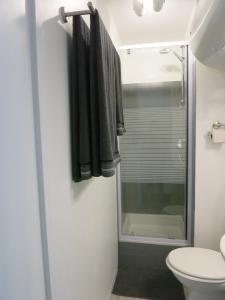 ein Bad mit einer Dusche und einem WC in der Unterkunft Joli studio A front de mer in Saint-Raphaël