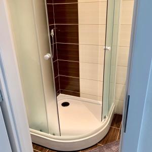 a shower with a glass door in a bathroom at Apartman Skupovka in Most