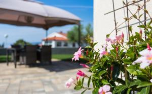 Vonkajšia záhrada v ubytovaní Apartment Natalija