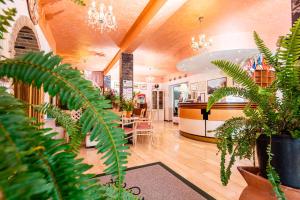 ein Zimmer mit Pflanzen und Tischen in einem Laden in der Unterkunft Hotel Marco Polo in Lignano Sabbiadoro