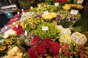 a display of different types of flowers in a market at City Break Amsterdam BNB in Amsterdam