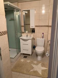een badkamer met een toilet, een douche en een wastafel bij Appartment Ajkunic in Sutomore