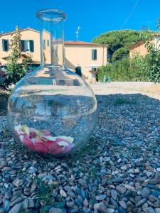 A garden outside Villa Monica