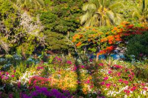 un jardín lleno de flores de colores en Diani Sea Resort - All Inclusive, en Diani Beach