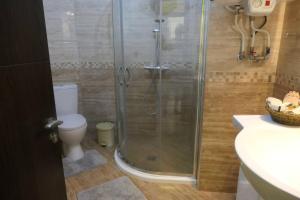 a bathroom with a shower with a toilet and a sink at Апартамент Мия Deluxe in Velingrad +16 photos