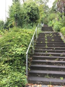 Ein Garten an der Unterkunft Seven