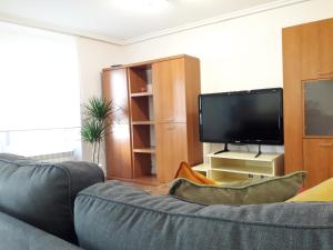 sala de estar con sofá y TV de pantalla plana en Apartamento céntrico catedral Burgos, en Burgos