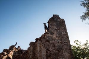 a person standing on top of a rock formation at ARADENA TRADITIONAL House 4 in Arádhaina