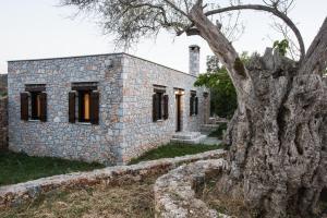 a stone house with a tree in front of it at ARADENA TRADITIONAL House 4 in Arádhaina