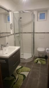 多因的住宿－Ferienwohnung Salker，带淋浴、盥洗盆和卫生间的浴室