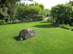 a cat sitting on a rock in the grass at Ferienwohnung Salker in Daun