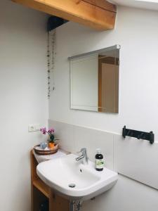 W łazience znajduje się umywalka i lustro. w obiekcie Ferienwohnung Bergblick w mieście Bad Aibling