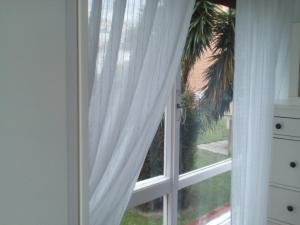 a window with white curtains and a palm tree at Precioso, luminoso y cómodo in Castro-Urdiales
