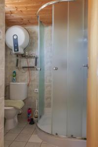 a shower stall in a bathroom with a toilet at Holiday Villa Ruprechtice in Ruprechtice