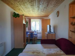Postel nebo postele na pokoji v ubytování Holiday Villa Ruprechtice