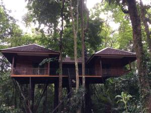 a tree house in the middle of the forest at Khao Sok Nature Resort in Khao Sok