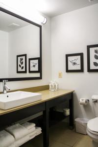 
a bathroom with a toilet, sink, and mirror at Country Inn & Suites by Radisson, Washington Dulles International Airport, VA in Sterling

