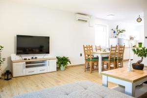 TV a/nebo společenská místnost v ubytování Apartma soline Seča
