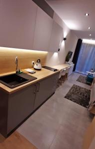 Kuchyň nebo kuchyňský kout v ubytování Apartament na Równi + 25 fotografií