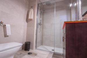 a bathroom with a shower and a white toilet at Cubo's Urban Suite Town Centre in Alhaurín el Grande