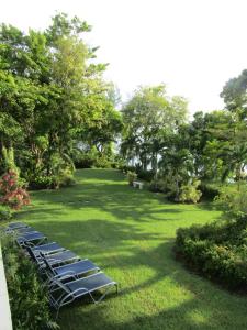 Contemporary Ocean and Garden- view Studio外面的花园