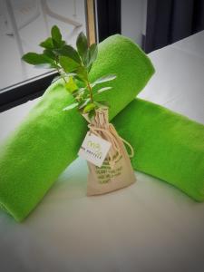 Fotografie z fotogalerie ubytování MB Hostels Premium ECO - Adults Recommended v destinaci Nerja