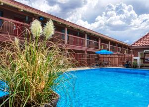 un hotel con piscina frente a un edificio en San Mateo Inn, en Albuquerque