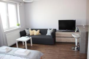 TV a/nebo společenská místnost v ubytování SMM Apartament Stettin