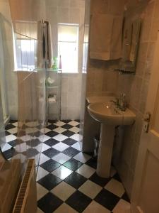 a bathroom with a sink and a shower at Barrow View B&B in Mountmellick