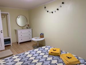 um quarto com uma cama, uma cómoda e um espelho em Excelent apartment with garden and free parking em Riga