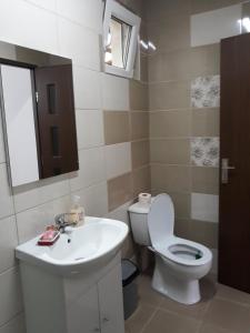 Billede fra billedgalleriet på Pensiunea Covaciu i Vadu Izei