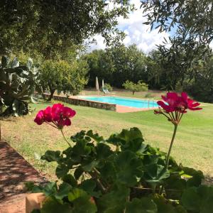 Bazén v ubytování Agriturismo Montecchio nebo v jeho okolí