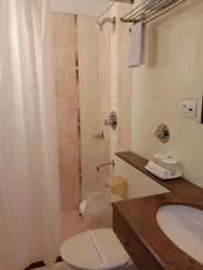 a bathroom with a toilet and a sink and a shower at Hotel Accolade in Ahmedabad