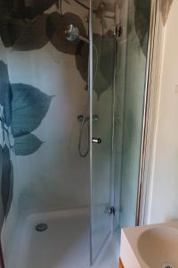 una doccia con una porta in vetro in un bagno di Tiny House Steirermadl a Birkfeld Altre 21 foto