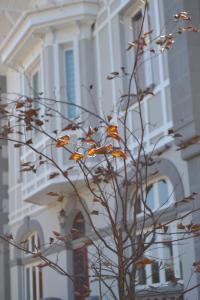 Afbeelding uit fotogalerij van Alamar Salinas House in Salinas +49 foto's