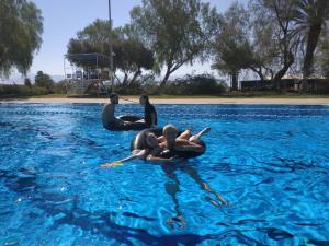 Kibbutz Ketura Guest House内部或周边的泳池