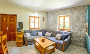 TV a/nebo společenská místnost v ubytování Stone House Luka