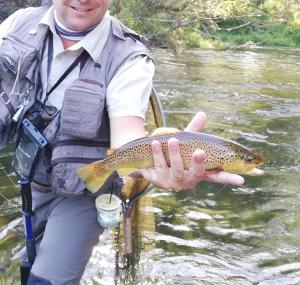 Výhled na řeku, která protéká v blízkosti venkovského domu
