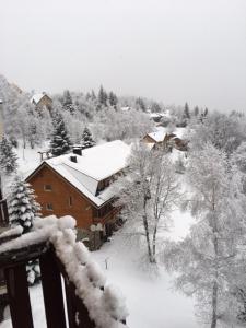 ein schneebedecktes Haus mit Bäumen und Gebäuden in der Unterkunft Studio 4 pers vue magnifique 100m des pistes in Ax-les-Thermes