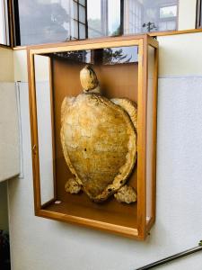 Ōtsuchiタカマス民宿的相册照片