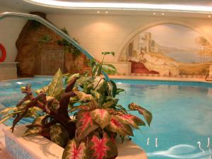 Πισίνα στο ή κοντά στο Hotel Lorenzetti
