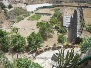 un modello di giardino con panchine e alberi di Casa Rural Anton Piche a Granadilla de Abona