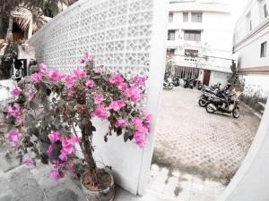 Fotografie z fotogalerie ubytování Palm Garden Kuta v Kutě