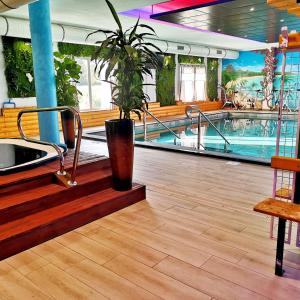 a potted plant sitting on the floor next to a pool at Best Western Hotel & SPA Pau Lescar Aeroport in Lescar