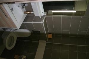 Baño pequeño con aseo y lavamanos en Apartments Paninich, en Međugorje