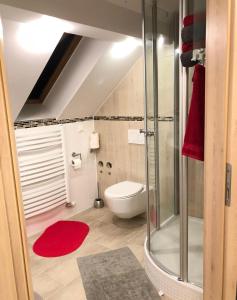 a bathroom with a toilet and a glass shower at SeMiHoMe in Dietingen