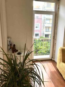een woonkamer met een potplant en een raam bij Luxury part of the city - Modern Apartment with Airconditioning - near Subway in Lissabon